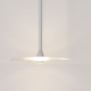 Coral Single Pendant - Clear Glass gallery detail image