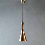 Caviar Brass Pendant Light gallery detail image