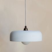 Medium Hakea Pendant gallery detail image