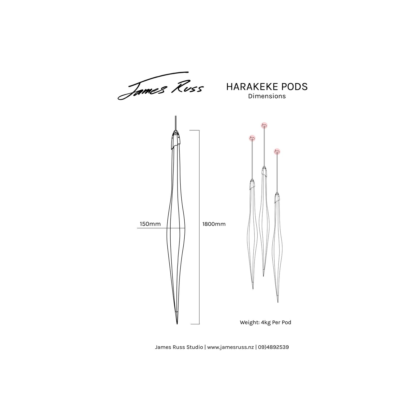 Harakeke Pods gallery detail image