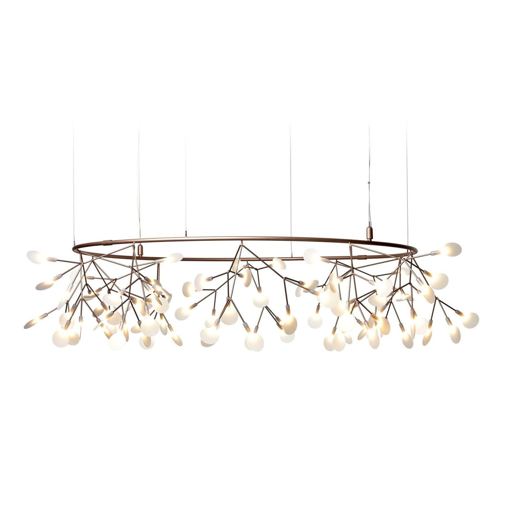 Heracleum Small Big O gallery detail image