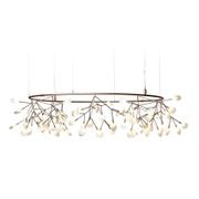 Heracleum Small Big O gallery detail image