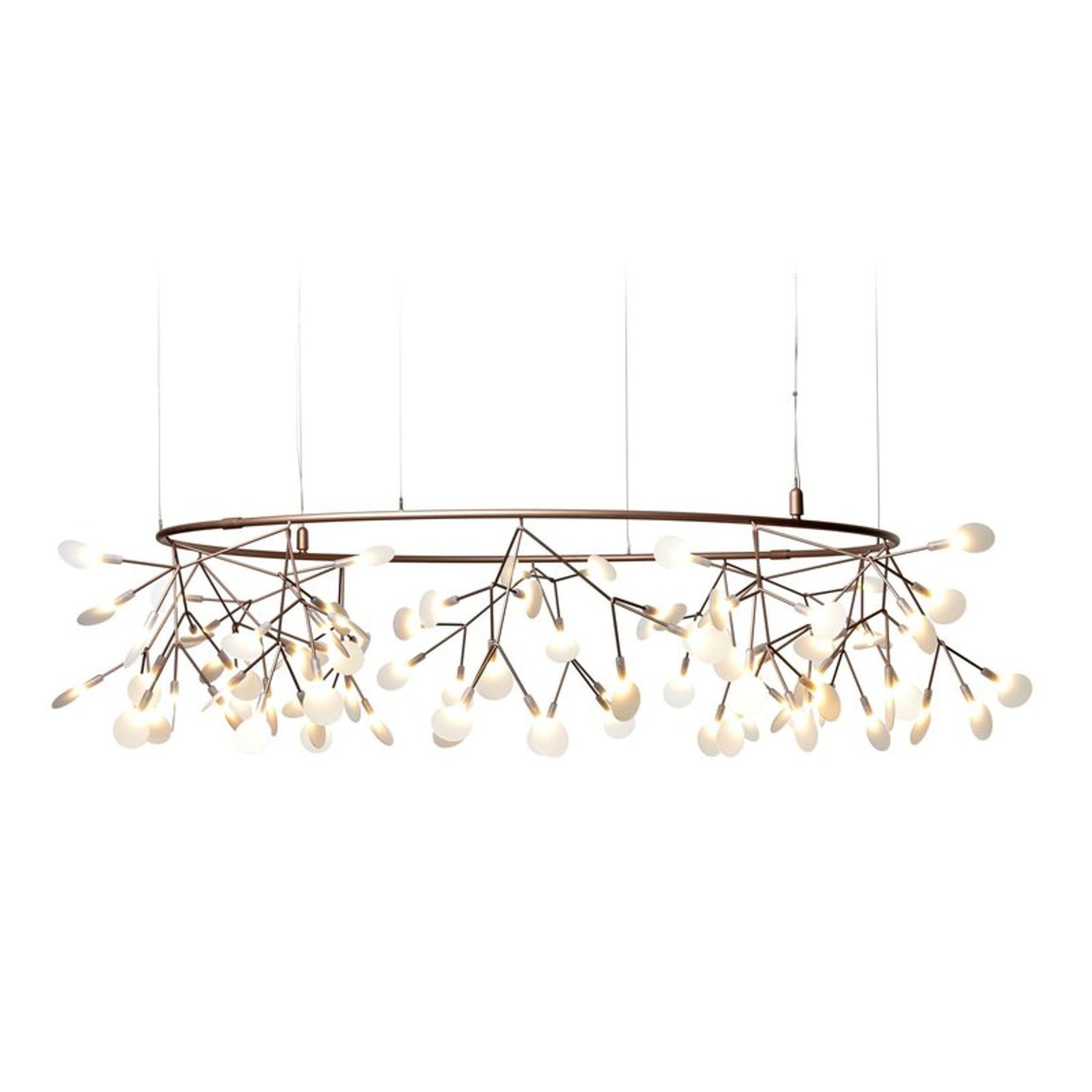 Heracleum Small Big O gallery detail image