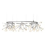 Heracleum Small Big O gallery detail image