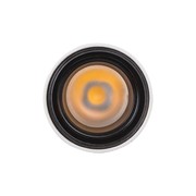 Nocturnal Taipan Pendant Light gallery detail image
