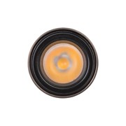 Nocturnal Taipan Pendant Light gallery detail image