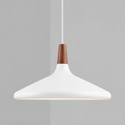 Nori 39 Metal Pendant gallery detail image