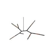 Phasmida Horizontal | Christopher Boots gallery detail image