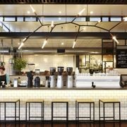 Phasmida Horizontal | Christopher Boots gallery detail image