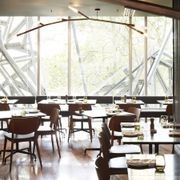 Phasmida Horizontal | Christopher Boots gallery detail image