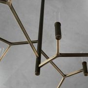 Roots Chandelier gallery detail image