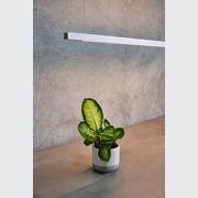 Capsühl Linear LED Linear Pendant White gallery detail image