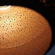 Yasmine gallery detail image