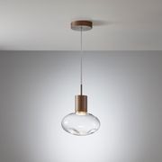 Rosetta Glass Pendant Light - 17cm in Brushed Burnished gallery detail image