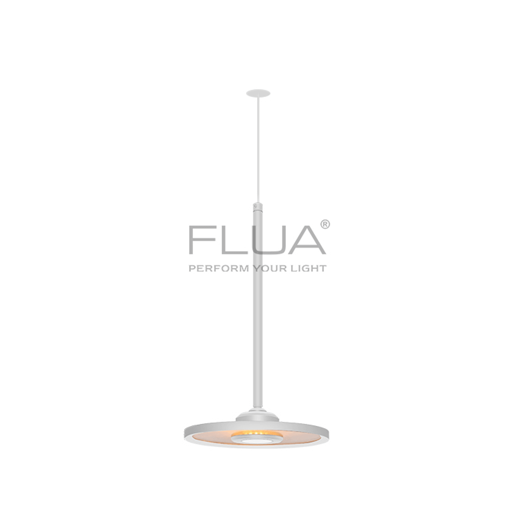 COBIN P 18 TRIMLESS V1.0 | Pendant Light gallery detail image