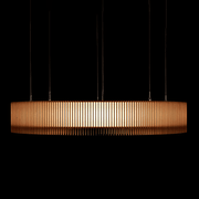 iO Phoebus LED Luminaire gallery detail image