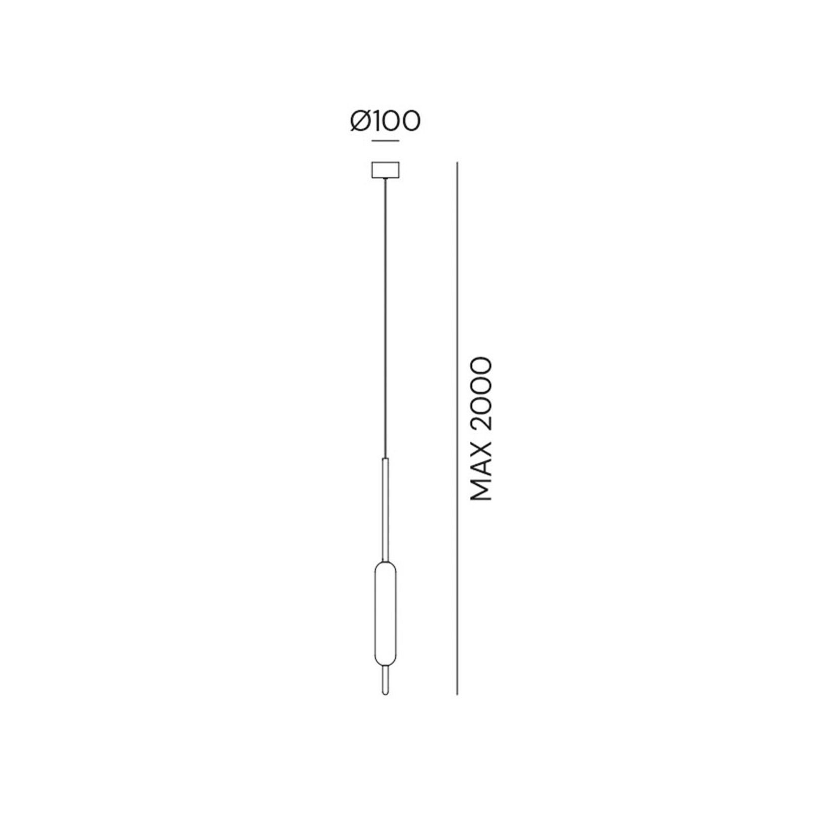 Typha Pendant Light gallery detail image