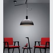 Albini AM/AS Arm Pendant Light gallery detail image