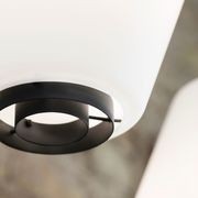 Dahl Pendant Light gallery detail image
