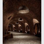 Galileo Pendant Light gallery detail image