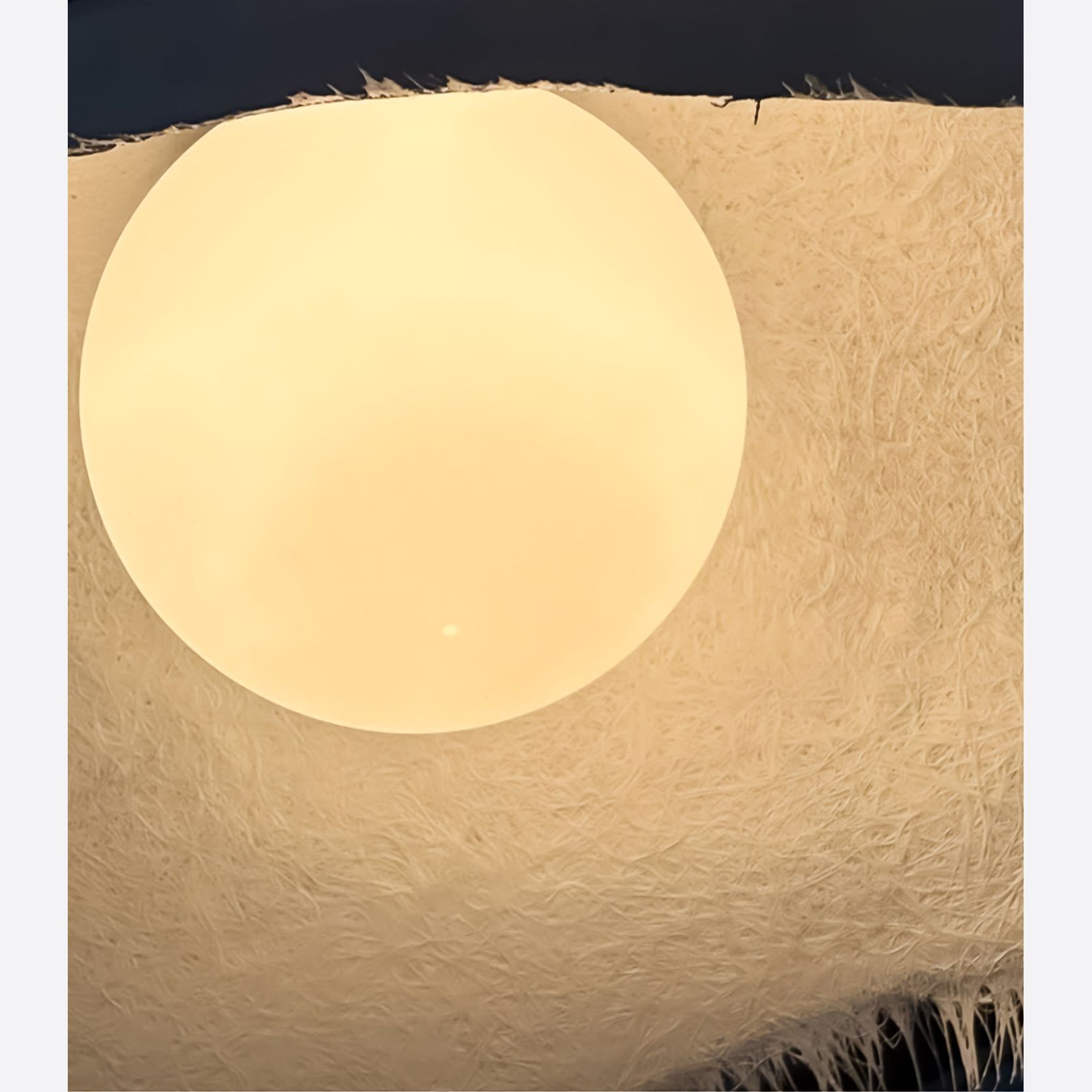 Moby Dick Pendant Light gallery detail image