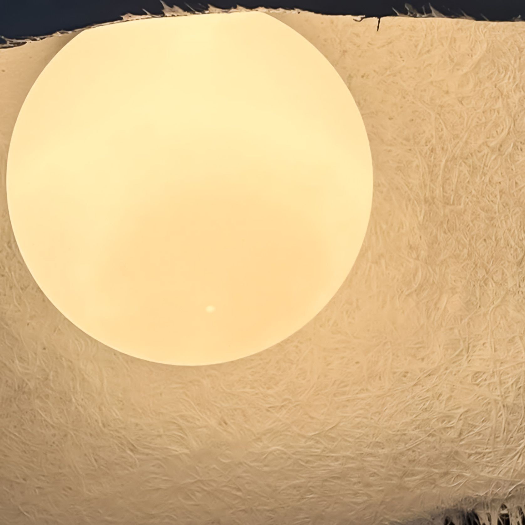 Moby Dick Pendant Light gallery detail image