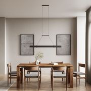 Niro Linear Pendant Light gallery detail image