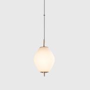 Nova Tall Pendant Light gallery detail image