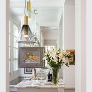 Phenomena Capsule Pendant Light gallery detail image