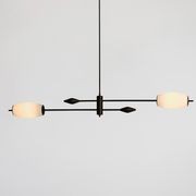 Supernova 2lt Pendant Light by J. Adams & Co. gallery detail image