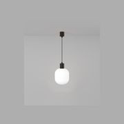 Parlour Curve Pendant Light gallery detail image