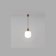 Parlour Curve Pendant Light gallery detail image