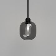 Parlour Lite Curve Pendant Light gallery detail image