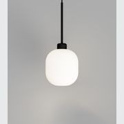 Parlour Lite Curve Pendant Light gallery detail image