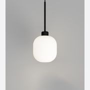 Parlour Lite Curve Pendant Light gallery detail image