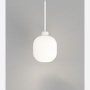 Parlour Lite Curve Pendant Light gallery detail image