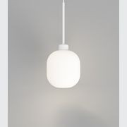 Parlour Lite Curve Pendant Light gallery detail image