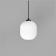 Parlour Curve Pendant Light gallery detail image
