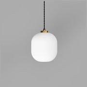 Parlour Curve Pendant Light gallery detail image