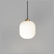 Parlour Curve Pendant Light gallery detail image