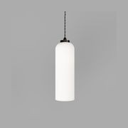 Parlour Elong Pendant Light gallery detail image