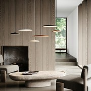 Artist 25 Pendant Light gallery detail image