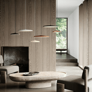 Artist 25 Pendant Light gallery detail image