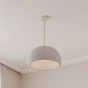 Passerine Wabi-Sabi Polymer Resin Pendant Light gallery detail image