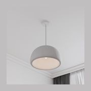 Passerine Wabi-Sabi Polymer Resin Pendant Light gallery detail image