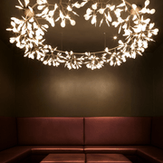 Heracleum The Big O Suspension Lamp | Lighting gallery detail image
