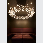 Heracleum The Big O Suspension Lamp | Lighting gallery detail image