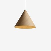 30 Degrees pendant gallery detail image