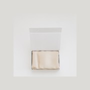 100% Pure Silk Pillowcase - Champagne gallery detail image