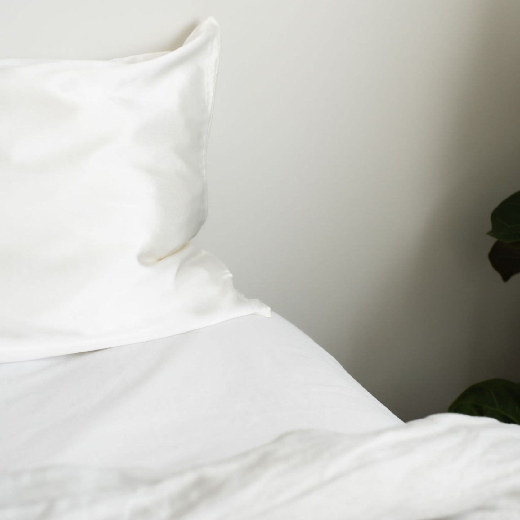 100% Pure Silk Pillowcase Pair - Milk gallery detail image